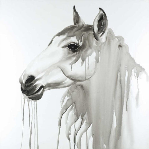 Beautiful White Horse Black Modern Wood Framed Art Print with Double Matting by Atelier B Art Studio