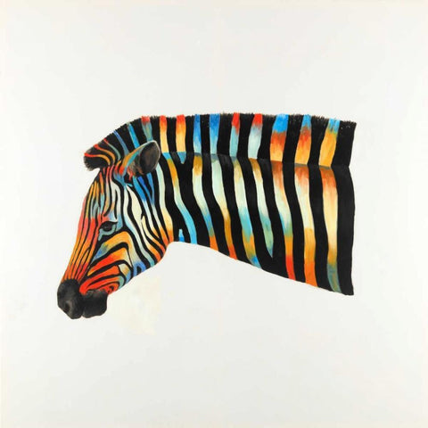 Colorful Zebra Black Modern Wood Framed Art Print with Double Matting by Atelier B Art Studio