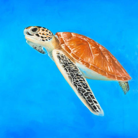 Sea Turtle White Modern Wood Framed Art Print by Atelier B Art Studio