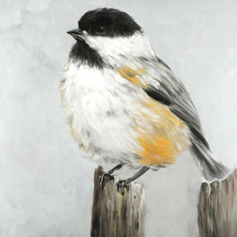 Coal Tit Bird White Modern Wood Framed Art Print by Atelier B Art Studio