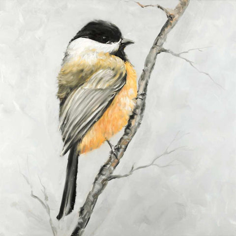 Small Coal Tit Black Modern Wood Framed Art Print with Double Matting by Atelier B Art Studio