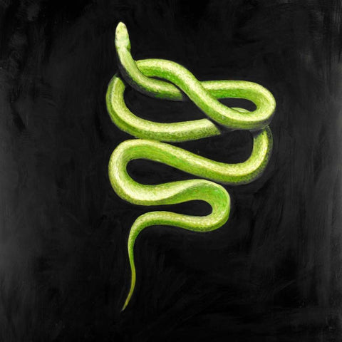 Green Snake Black Modern Wood Framed Art Print with Double Matting by Atelier B Art Studio