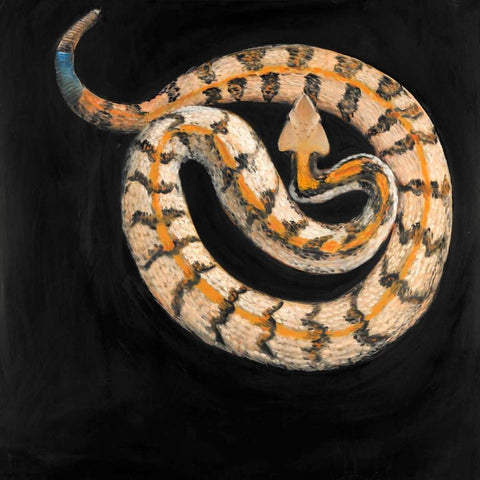 Snake Coiled White Modern Wood Framed Art Print by Atelier B Art Studio