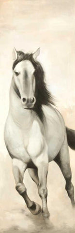 Graceful Horse White Modern Wood Framed Art Print with Double Matting by Atelier B Art Studio