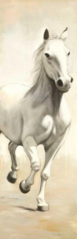 Gallant White Horse White Modern Wood Framed Art Print with Double Matting by Atelier B Art Studio