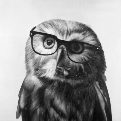 Realistic Northern Saw-whet Owl with Glasses White Modern Wood Framed Art Print with Double Matting by Atelier B Art Studio