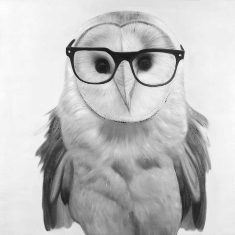 Realistic Barn Owl with Glasses Black Modern Wood Framed Art Print with Double Matting by Atelier B Art Studio