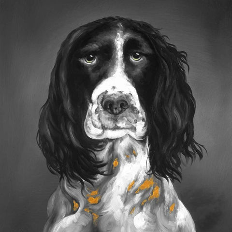 Beautiful English Springer Spaniel White Modern Wood Framed Art Print with Double Matting by Atelier B Art Studio