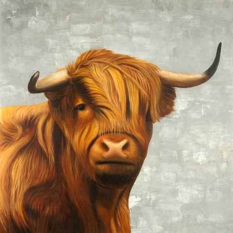 Highland Cattle Black Modern Wood Framed Art Print with Double Matting by Atelier B Art Studio