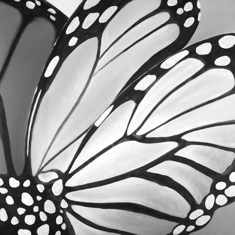 Butterfly Wings White Modern Wood Framed Art Print with Double Matting by Atelier B Art Studio