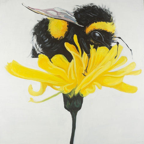 Hungry Bumblebee on a Dandelion Black Modern Wood Framed Art Print with Double Matting by Atelier B Art Studio