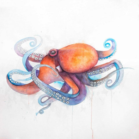 Colorful Octopus White Modern Wood Framed Art Print with Double Matting by Atelier B Art Studio