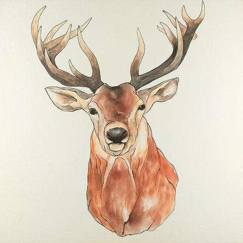 Front Deer Portrait White Modern Wood Framed Art Print with Double Matting by Atelier B Art Studio