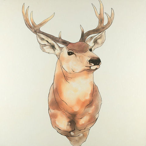 Deer Portrait White Modern Wood Framed Art Print with Double Matting by Atelier B Art Studio