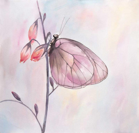 Watercolor Butterfly White Modern Wood Framed Art Print with Double Matting by Atelier B Art Studio