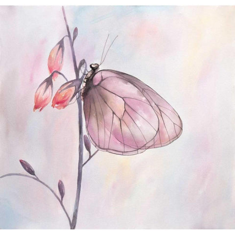 Watercolor Butterfly Black Modern Wood Framed Art Print with Double Matting by Atelier B Art Studio