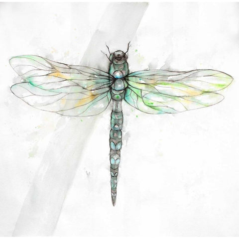 Dragonfly White Modern Wood Framed Art Print by Atelier B Art Studio