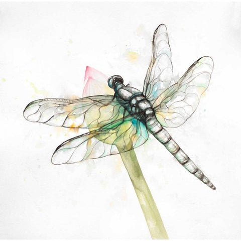 Dragonfly on a Flower Bud Gold Ornate Wood Framed Art Print with Double Matting by Atelier B Art Studio