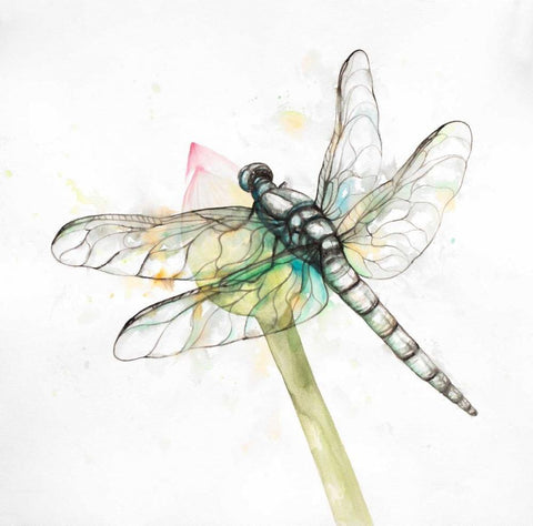 Dragonfly on a Flower Bud White Modern Wood Framed Art Print with Double Matting by Atelier B Art Studio