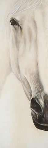 Half Portrait of a Peaceful Horse White Modern Wood Framed Art Print with Double Matting by Atelier B Art Studio