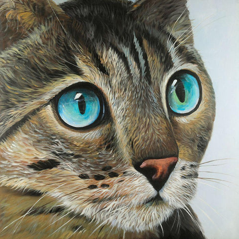 Curious Cat Portrait Gold Ornate Wood Framed Art Print with Double Matting by Atelier B Art Studio