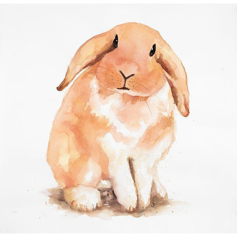 Fuzzy Lop Rabbit Black Modern Wood Framed Art Print with Double Matting by Atelier B Art Studio