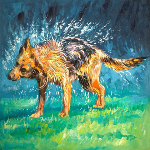 SPIN-DRY WET GERMAN SHEPHERD Gold Ornate Wood Framed Art Print with Double Matting by Atelier B Art Studio