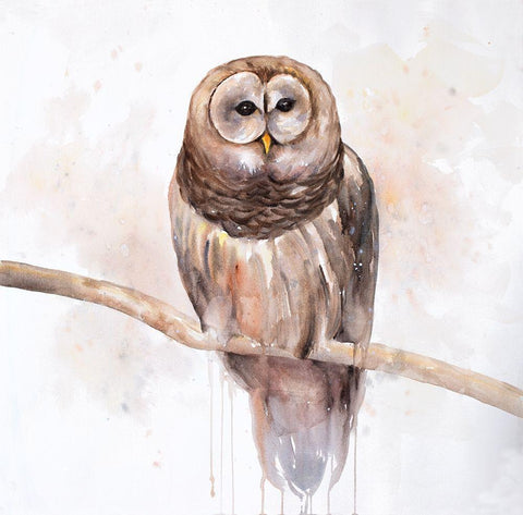 Owl on a Branch White Modern Wood Framed Art Print with Double Matting by Atelier B Art Studio