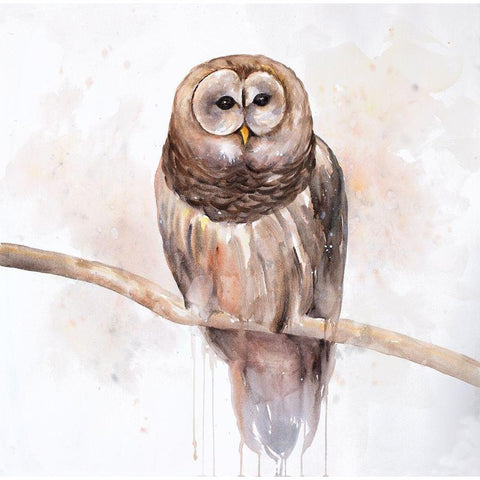 Owl on a Branch White Modern Wood Framed Art Print by Atelier B Art Studio