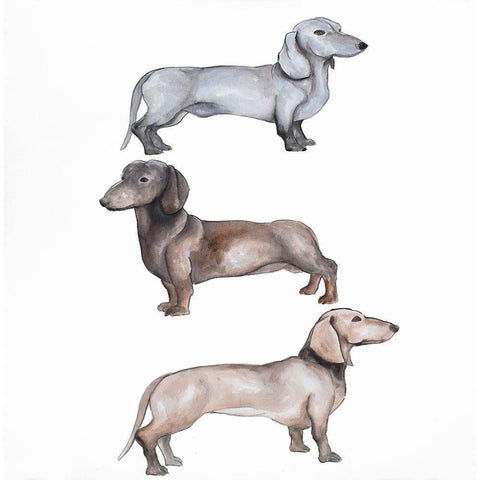 Dachshund Dogs Trio White Modern Wood Framed Art Print by Atelier B Art Studio