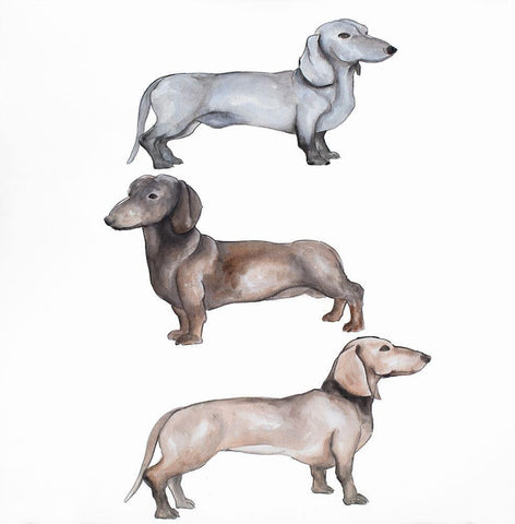 Dachshund Dogs Trio White Modern Wood Framed Art Print with Double Matting by Atelier B Art Studio