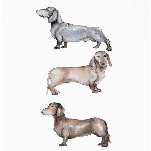 Three Daschund Dogs White Modern Wood Framed Art Print by Atelier B Art Studio