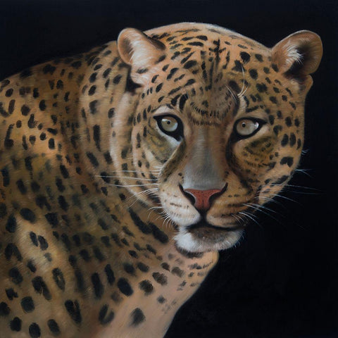 REALISTIC FIERCE LEOPARD White Modern Wood Framed Art Print with Double Matting by Atelier B Art Studio