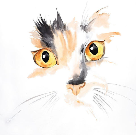 WATERCOLOR CAT FACE CLOSEUP White Modern Wood Framed Art Print with Double Matting by Atelier B Art Studio