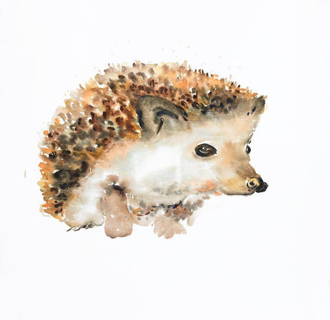 WATERCOLOR HEDGEHOG White Modern Wood Framed Art Print with Double Matting by Atelier B Art Studio