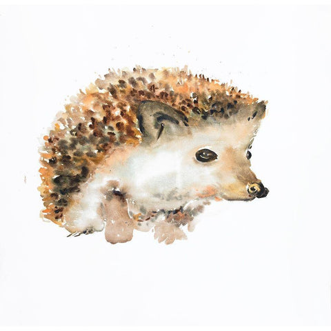 WATERCOLOR HEDGEHOG Black Modern Wood Framed Art Print with Double Matting by Atelier B Art Studio