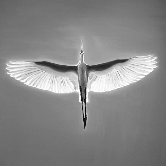 Image Only