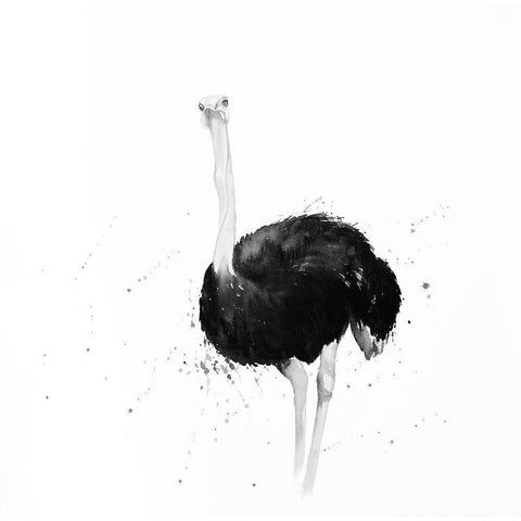 OSTRICH IN WATERCOLOR Black Modern Wood Framed Art Print with Double Matting by Atelier B Art Studio