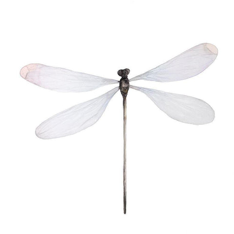 MINIMALIST DRAGONFLY White Modern Wood Framed Art Print by Atelier B Art Studio