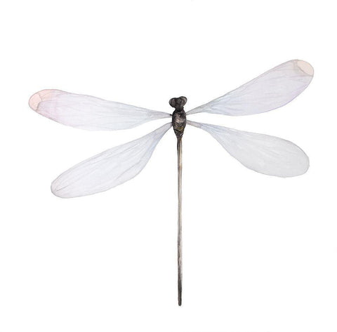 MINIMALIST DRAGONFLY White Modern Wood Framed Art Print with Double Matting by Atelier B Art Studio