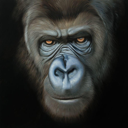 Image Only
