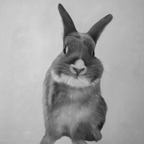 FUNNY GRAY RABBIT White Modern Wood Framed Art Print with Double Matting by Atelier B Art Studio