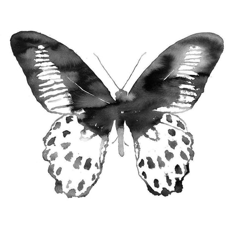 BLACK BUTTERFLY White Modern Wood Framed Art Print by Atelier B Art Studio