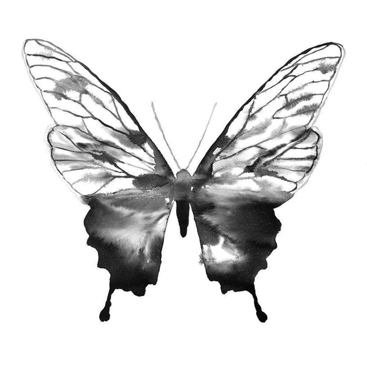 Image Only