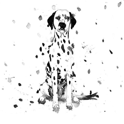 DALMATIAN DOG Black Modern Wood Framed Art Print with Double Matting by Atelier B Art Studio