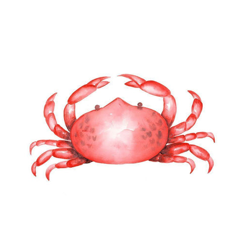 CRAB White Modern Wood Framed Art Print by Atelier B Art Studio