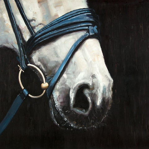 HORSE WITH HARNESS White Modern Wood Framed Art Print with Double Matting by Atelier B Art Studio