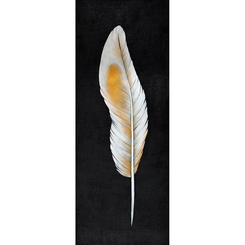 FEATHER Gold Ornate Wood Framed Art Print with Double Matting by Atelier B Art Studio