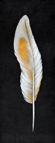 FEATHER White Modern Wood Framed Art Print with Double Matting by Atelier B Art Studio