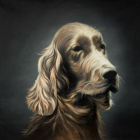 FIELD SPANIEL White Modern Wood Framed Art Print by Atelier B Art Studio